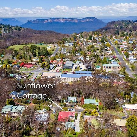 Sunflower Cottage Katoomba Luaran gambar
